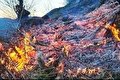 هشدار جدی متولی ارشد کشاورزی استان کهگیلویه و بویراحمد نسبت به وقوع آتش‌سوزی در جنگل‌ها و مراتع
