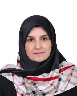 حمله مهاجم مسلح به سفیر زنِ ایران در دانمارک