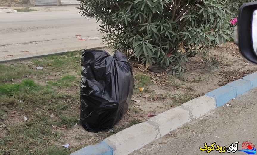 شهروندان لیککی و معضل کمبود سطل زباله/تصاویر