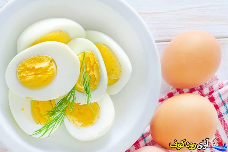 فواید شگفت انگیز مصرف روزانه تخم مرغ