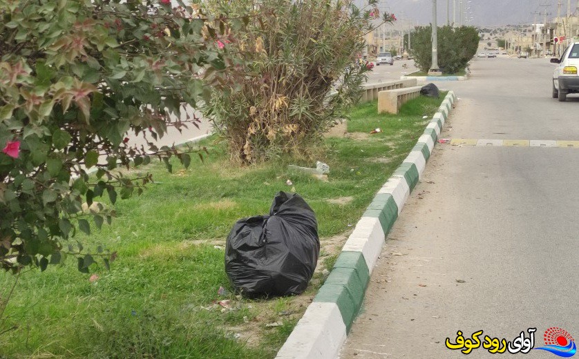 شهروندان لیککی و معضل کمبود سطل زباله/تصاویر