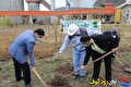 "کاشت صوری" به جای "احیای واقعی": زنگ خطر برای جنگل‌های بلوط کهگیلویه و بویراحمد و تهدید برنامه ملی کاشت یک میلیارد درخت