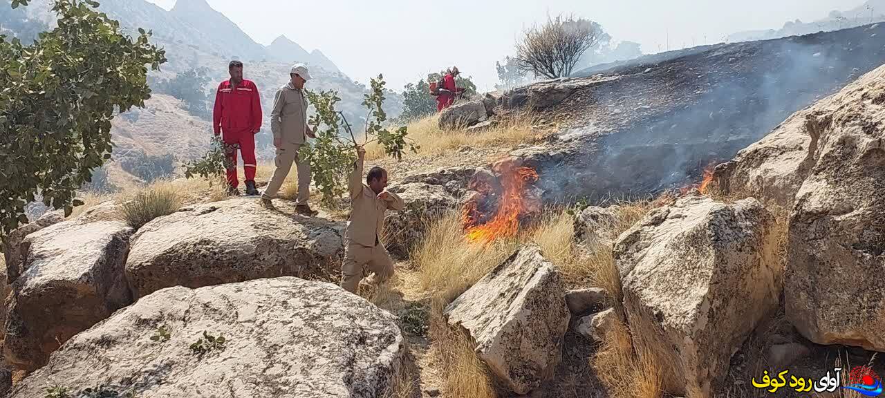 آتشسوزی جنگلها و مراتع باشت مهار شد آتشسوزی جنگلها و مراتع باشت مهار شد