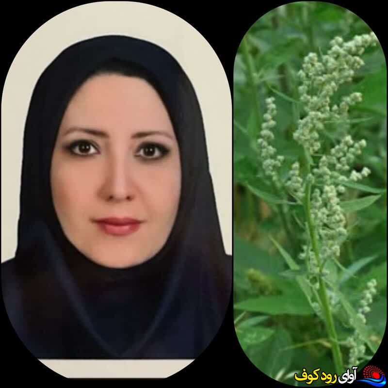 تولید هموگلوبین با مصرف سلمه تره