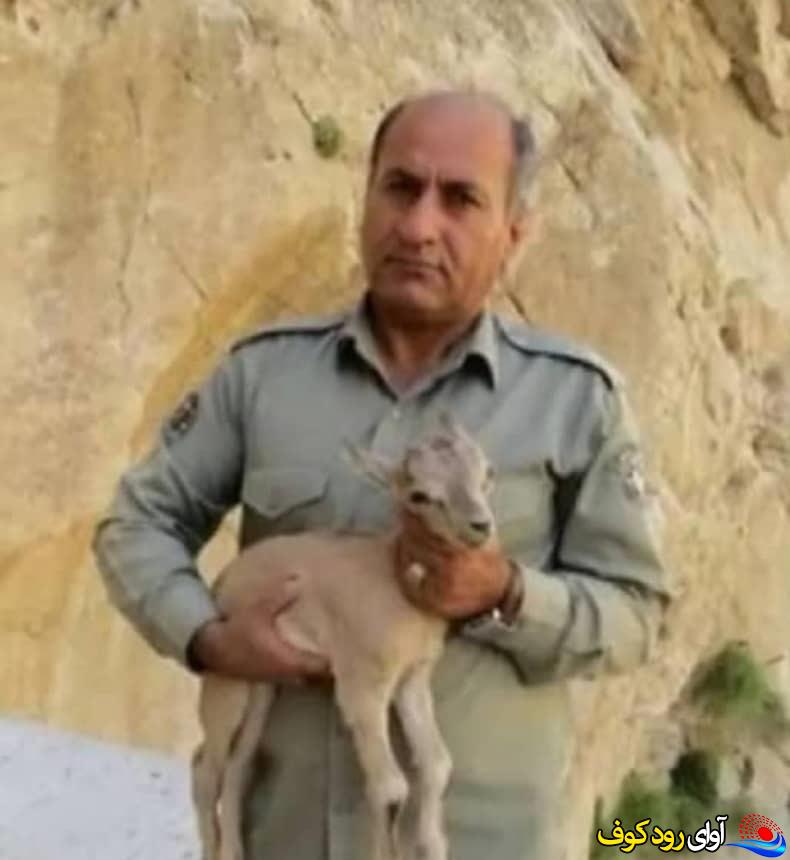 “پیام تسلیت رئیس سازمان جهاد کشاورزی کهگیلویه و بویراحمد در پی شهادت محیط‌بان وظیفه‌شناس