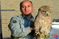 خائیز سوگوار مردی از جنس طبیعت