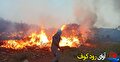 آتش‌سوزی‌های هولناک؛ قتل نفسِ طبیعت، بی‌مجازات!