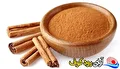 فواید مصرف گیاه دارویی دارچین