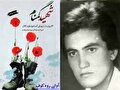 سالگرد شهادت شهید حیات‌الله مسیح‌پور؛ روایت غربت دو مزار خاموش در روستای خالی از سکنه برد زرد