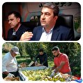 آغاز برداشت 130 هزار تن سیب از 6,200 هکتار باغ در کهگیلویه و بویراحمد – چالش نبود صادرات مستقیم