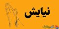 راضیه آرچین در شعر «نیایش در ظلمت» از تاریکیِ روزگار تا ظهورِ روشنایی می‌سراید