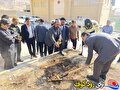پویش ملی درختکاری در نخستین روز هفته تربیت‌بدنی و ورزش در لنده برگزار شد / تصاویر