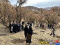 در آغوش طبیعت زاگرس، بانوان بسیج کشاورزی بویراحمد نهال امید کاشتند / تصاویر